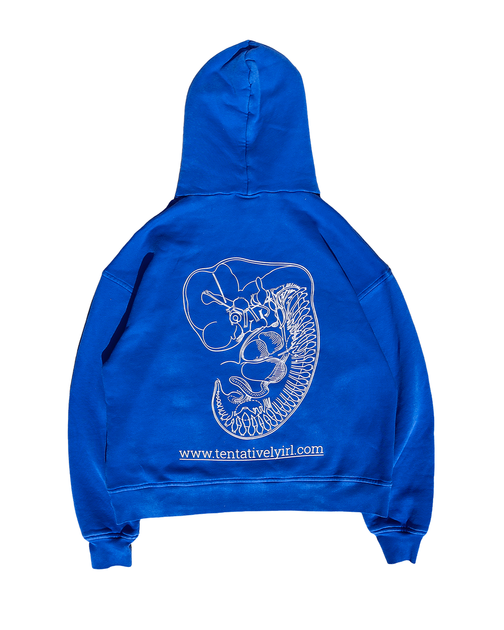 Pangea Hoodie