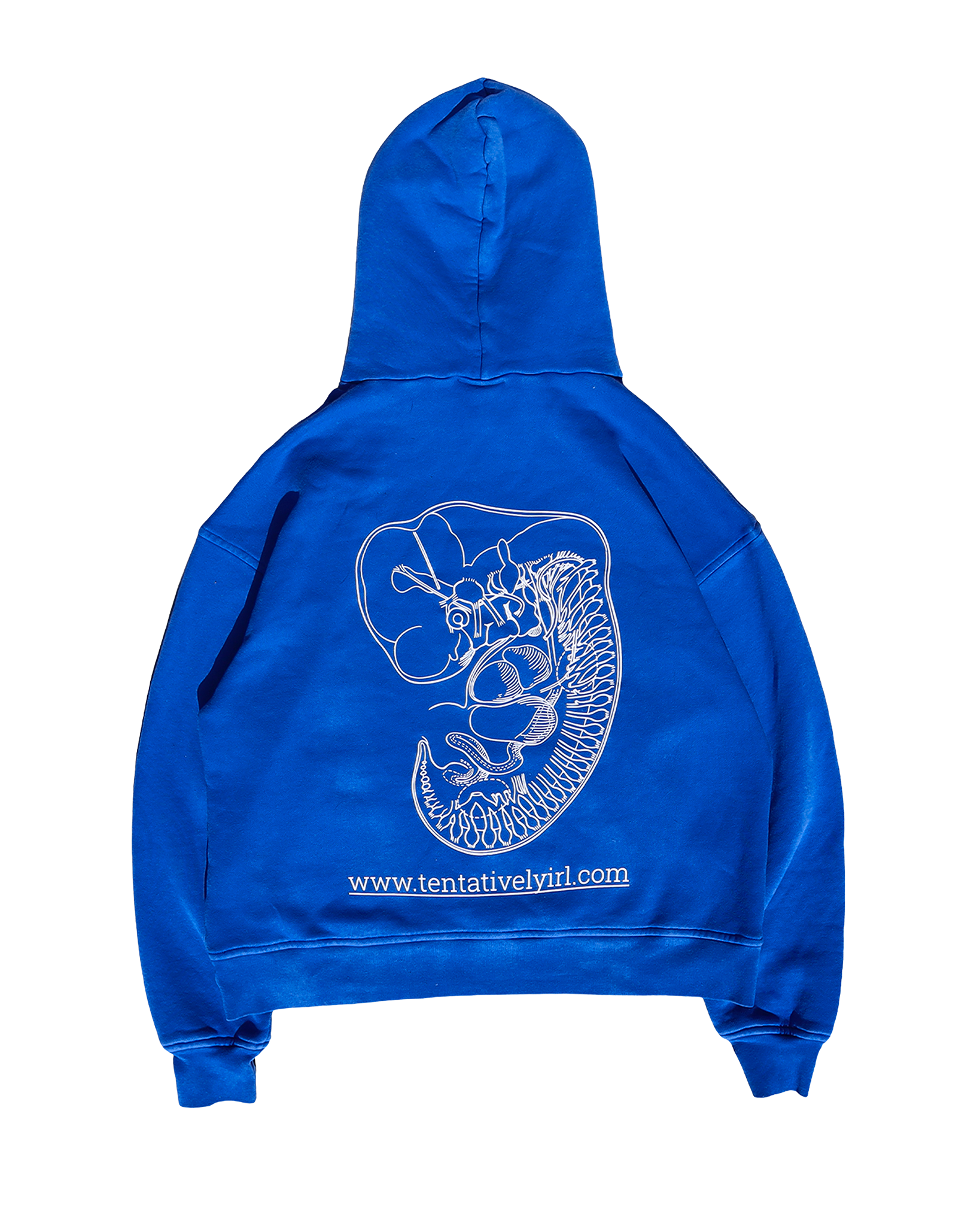 Pangea Hoodie