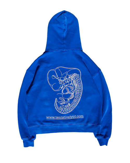 Pangea Hoodie