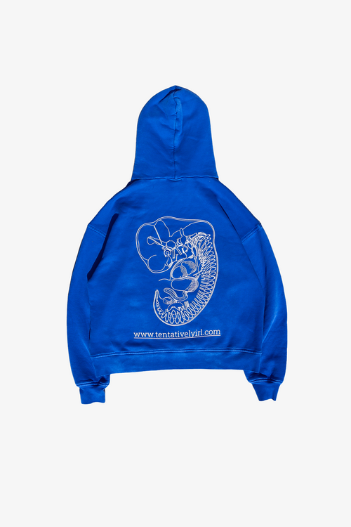 Pangea Hoodie